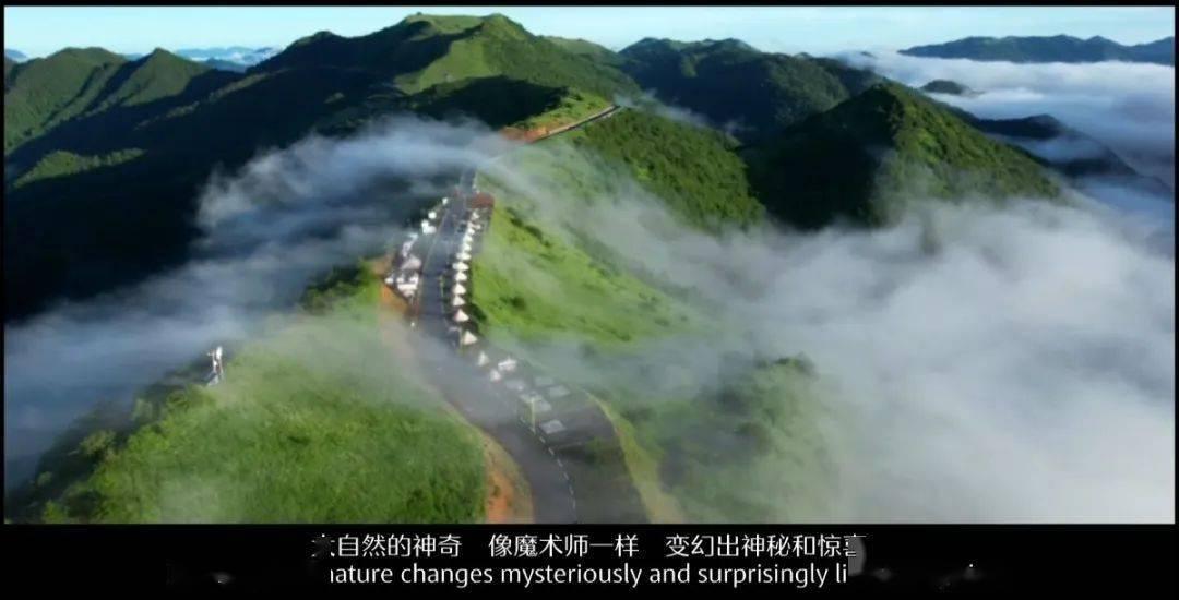 专业讨论平台我身高1m4。相亲对象身高一米六几。相差多少?,为你解答疑问
